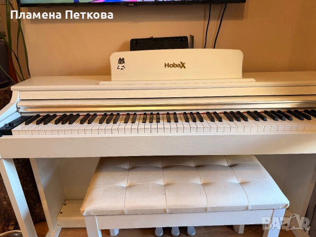 Електрическо пиано HOBAX, снимка 4 - Друга електроника - 55001975