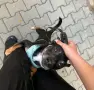 Подарявам Блеки 🥰, снимка 10