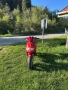 Pegasus 50cc 2t, снимка 5