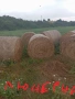 Люцерна,сено, овес и детелина рулонки, снимка 3