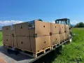 Продаваме диня на едро - сорт: РОМАНЗА ; тел. 0878744855, снимка 5