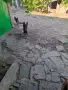 Белгийска овчарка малиноа на трийсет дни , снимка 5