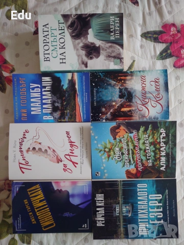 Книги на Даниел Стийл, Фицджералд, Гилмор, Скалия, Карнак, Конъли, Макалистър, Перен, снимка 2 - Художествена литература - 25111417