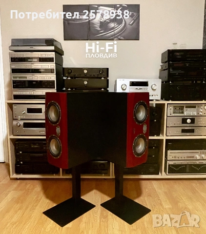 TANNOY Reveal 66 P - в перфектно състояние !, снимка 10 - Тонколони - 54980851