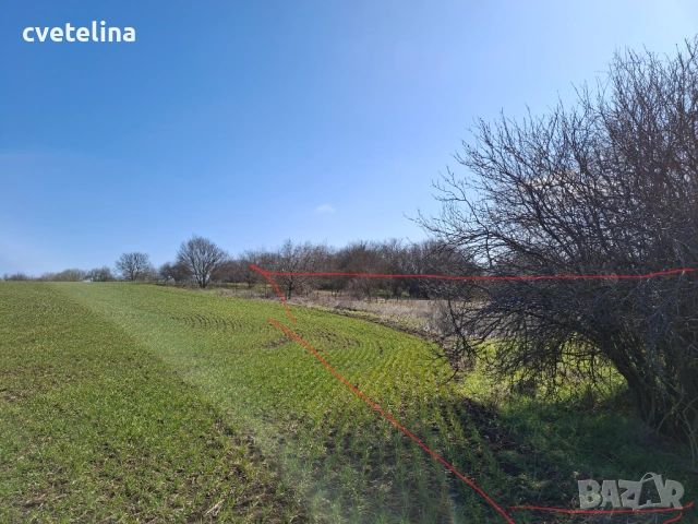 Парцел с.Метличина , снимка 3 - Парцели - 52245847