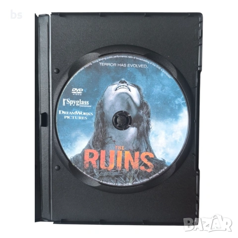 Руините DVD -R с бг субс, снимка 4 - DVD филми - 54476742