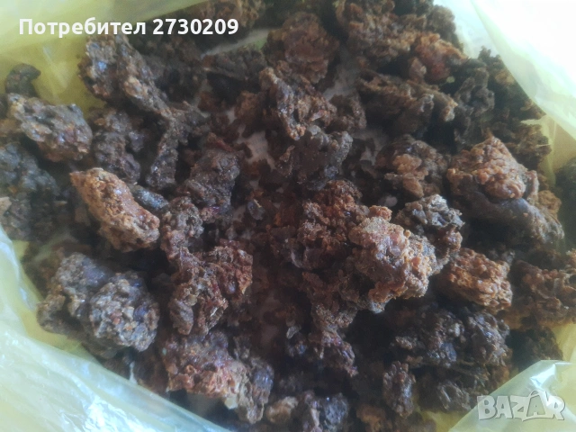 Пчелен Клей (Прополис) 700 грама