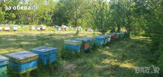 Продавам 10 рамкови рутови кошери, снимка 2 - За пчели - 54461746