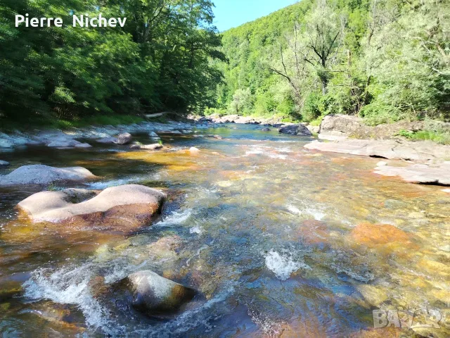 Панорамен Парцел , снимка 14 - Парцели - 47795715