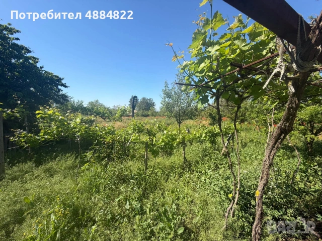 Продава се къща с голям двор в с. Щипско, община Вълчи дол, снимка 3 - Къщи - 55275120