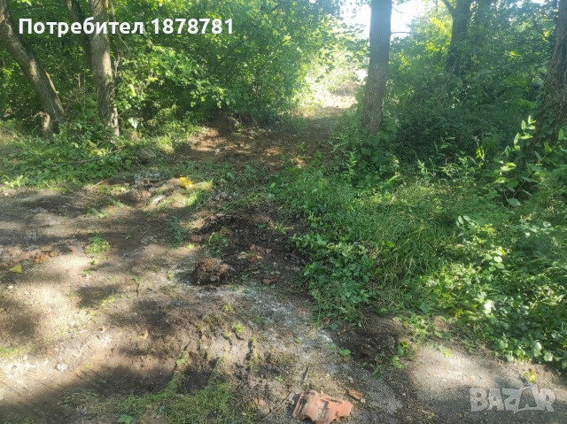 Парцел на главен път Враца Оряхово , снимка 4 - Парцели - 54773815