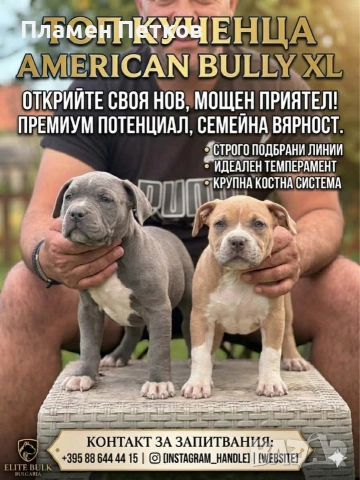 Американско були 