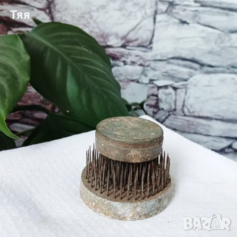 Кензани за цветя , снимка 3 - Градински цветя и растения - 55342135
