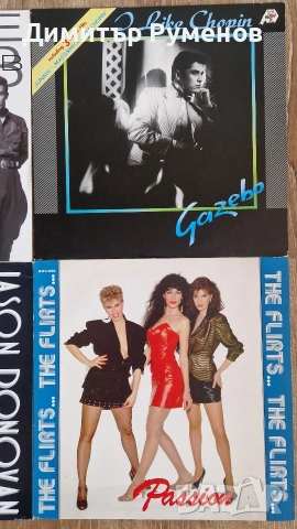Плочи за грамофон vinyl, снимка 3 - Грамофонни плочи - 54987244