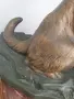 35см-3кг Carvin ЦAM статуетка/стара френска скулптура/фигура на куче/немска овчарка, снимка 12