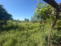 Продава се къща с голям двор в с. Щипско, община Вълчи дол, снимка 3