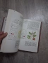 Красная книга РСФСР Растения , снимка 10