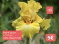 Ириси за продажба обява 3, снимка 4