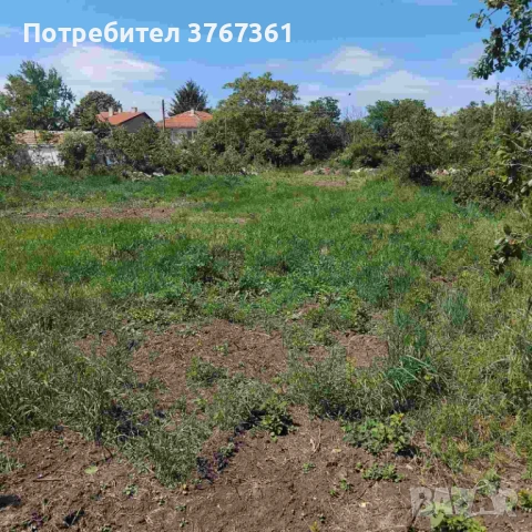 Парцел-дворно място във Ветрино, снимка 4 - Парцели - 43718100