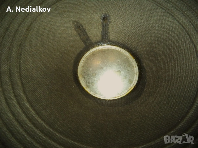 RCF L12/P05 speaker, снимка 5 - Китари - 53993116