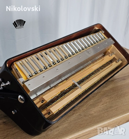 Висок клас италијаснки акордеон Fisitalia , снимка 9 - Акордеони - 54130882