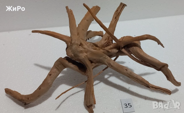 Корен от Азалия /декорация/ 35, снимка 3 - Други - 54093522