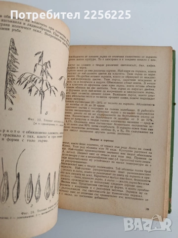 Растениевъдство 1963г, снимка 2 - Специализирана литература - 54540558
