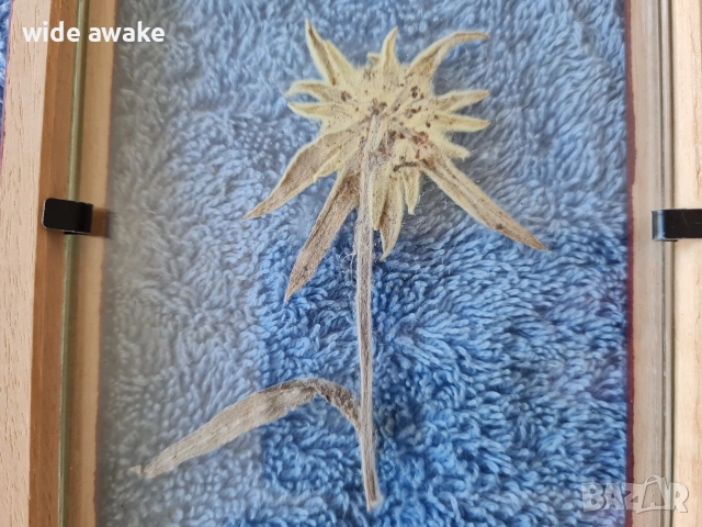 Еделвайс в рамка, снимка 5 - Други ценни предмети - 54091034