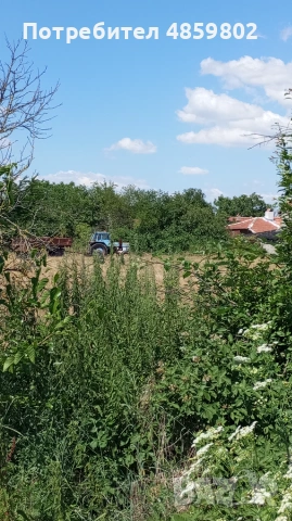 ЧАСТНО ЛИЦЕ: Парцел в регулация 3 дка с ток и вода, с. Трънково (лице на асфалт)