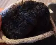 Спортни ръкавици нови ХЛ размер, снимка 2