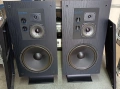Omni Audio SA 12.3 тонколони , снимка 1