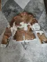Кожено яке от естествена телешка кожа и косъм Leonardo, снимка 6