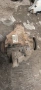 диференциал 2.93 2,93 бмв е46 bmw e46, снимка 3