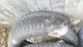 Все сезонни гуми за джип Nikian Tyres, снимка 9