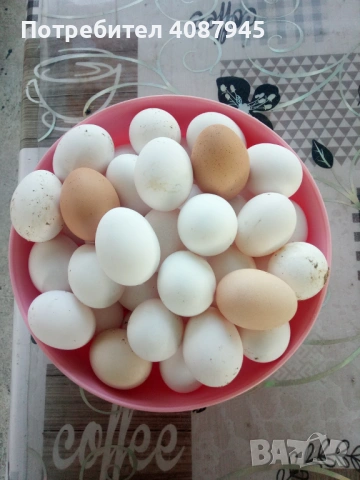 Продажба на домашни яйца