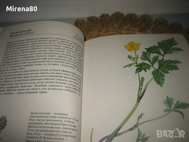 Растения полей и лесов - 1987 г., снимка 5 - Енциклопедии, справочници - 54723028