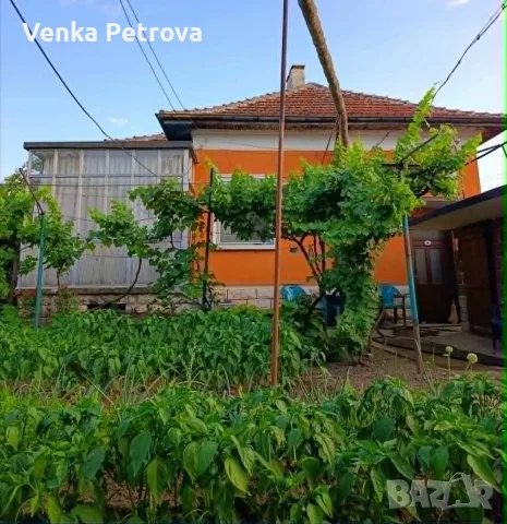 Продава се масивна едноетажна къща с гараж и лятна кухня в гр. Бяла Слатина, снимка 9 - Къщи - 55297248