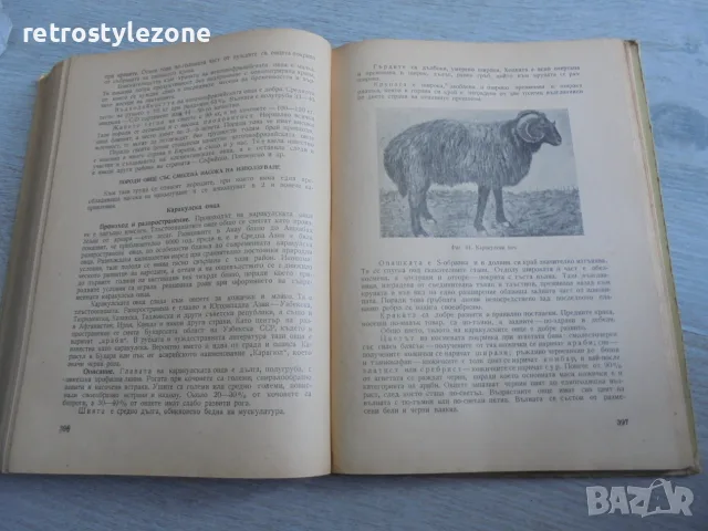 № 8697 Стара книга „Животновъдство“ – В. Груев, Земиздат, 1956 г.   , снимка 4 - Други - 55341919