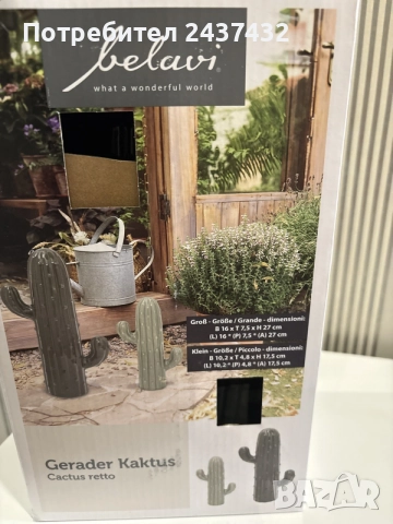 Декоративни кактуси, снимка 4 - Статуетки - 55673371