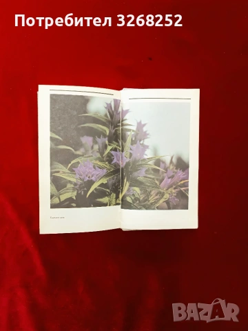 Книга за Билките , снимка 6 - Специализирана литература - 55173828