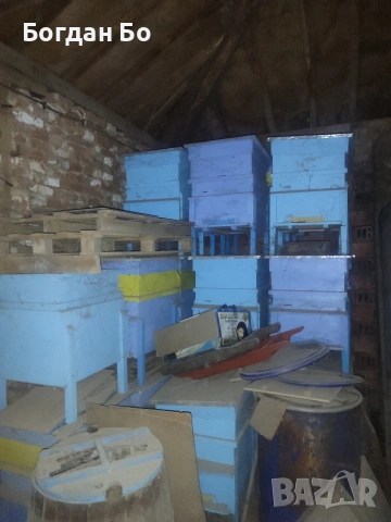 продавам стари и нови кошери дадан блат , снимка 2 - Други животни - 54502741