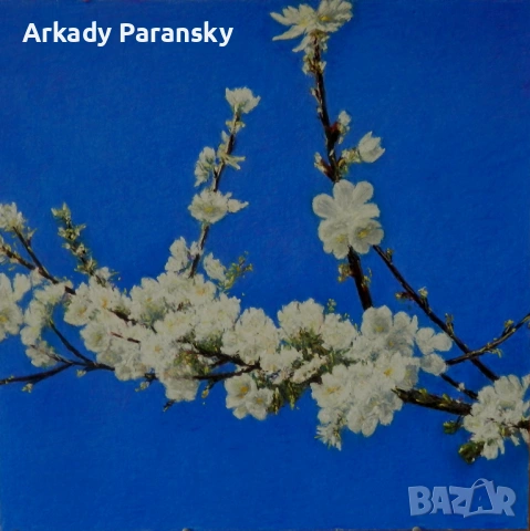 Клон на цъфтяща череша