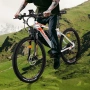 Електрическо колело FAFREES Hailong One 450W 36V 13Ah, снимка 12