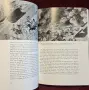 Японските изкуства - илюстриран справочник / Japanese Art, снимка 13