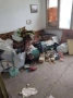 ТРАНСПОРТНИ УСЛУГИ  Разчистване, ремонт, преместване, обновяване / извозване , снимка 5