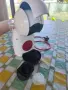 Кафемашина Krups Dolce Gusto Piccolo XS (Бяла) – КАТО НОВА, ползвана 2 пъти!, снимка 5