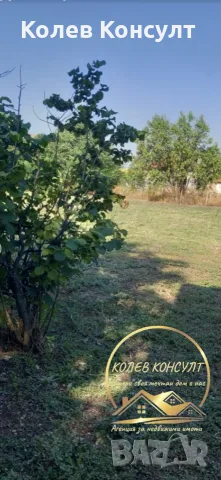 къща село Зетьово, снимка 7 - Къщи - 55628731