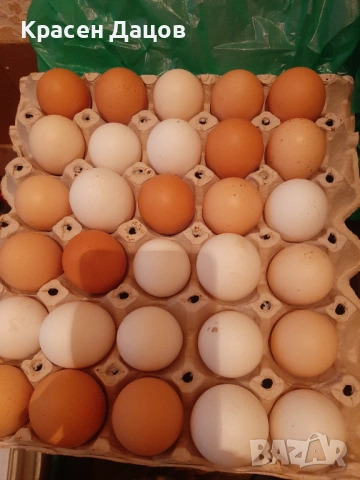 Домашни яйца , снимка 2 - Домашни продукти - 54811940