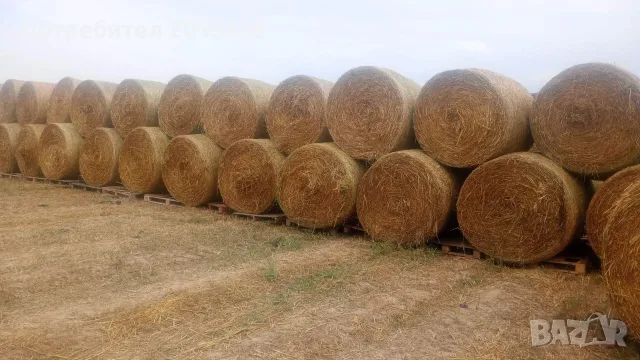 Рулонни бали овес 