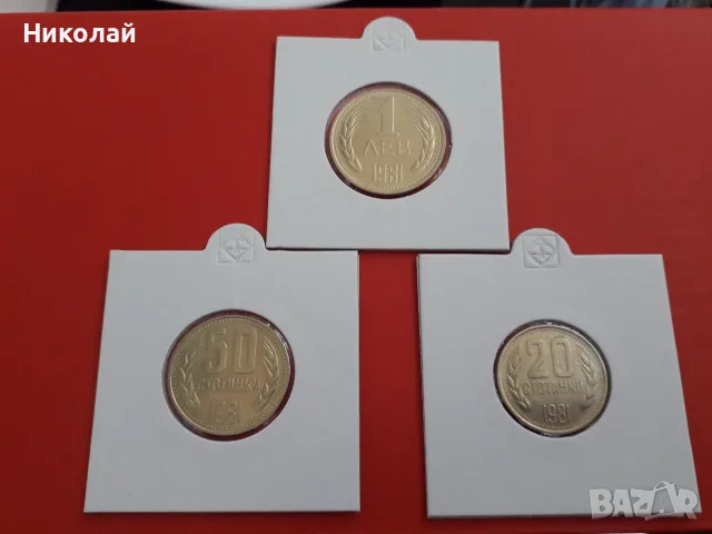 пълният лот разменни монети от 1, 2, 5, 10, 20, 50 ст. и 1 лев 1981г., снимка 3 - Нумизматика и бонистика - 54654329